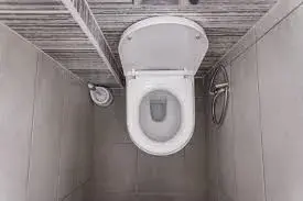 Water_Closet9[1]-257134-19216.webp